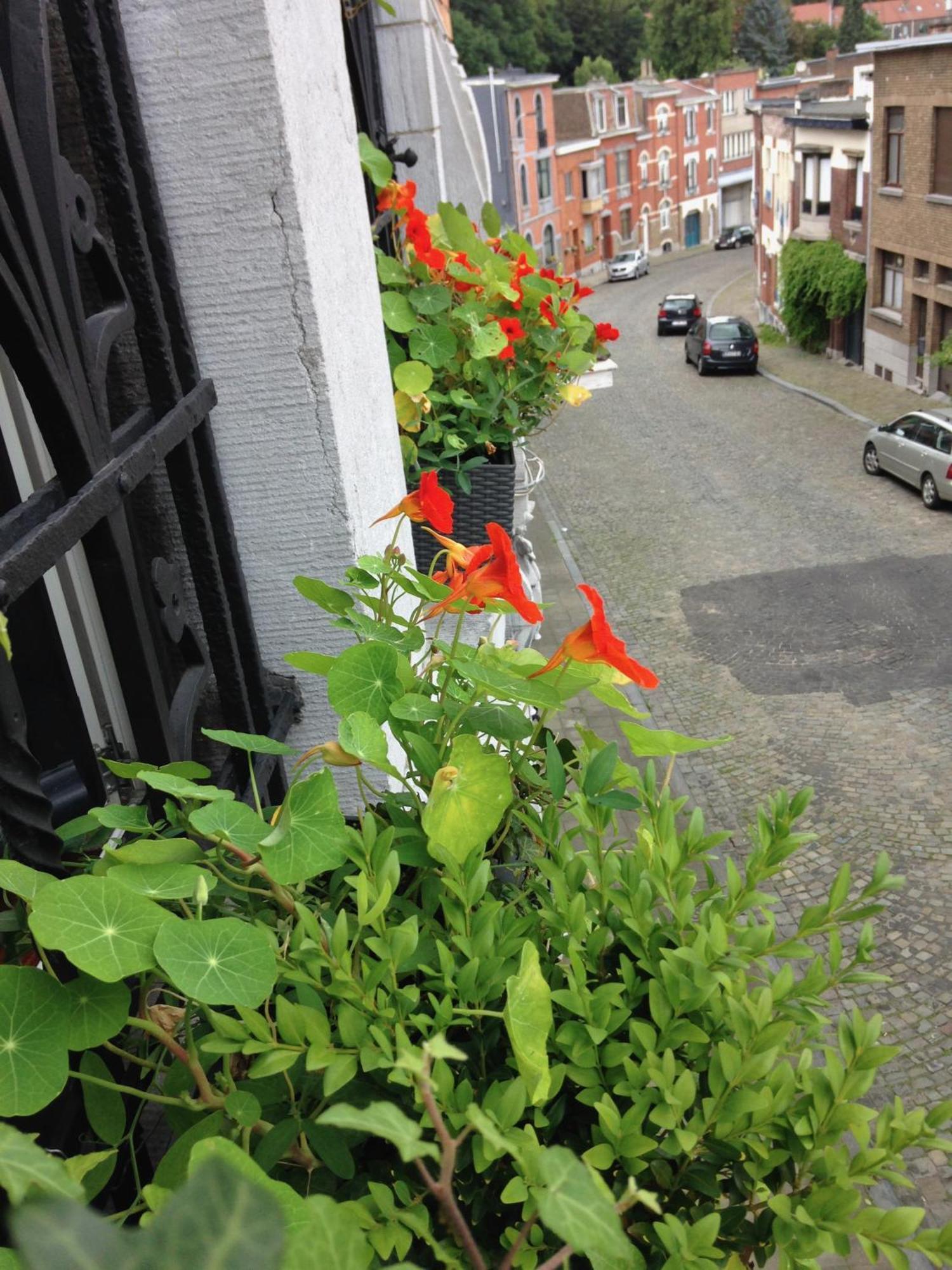 B&B Matin Tranquille Liège Zewnętrze zdjęcie